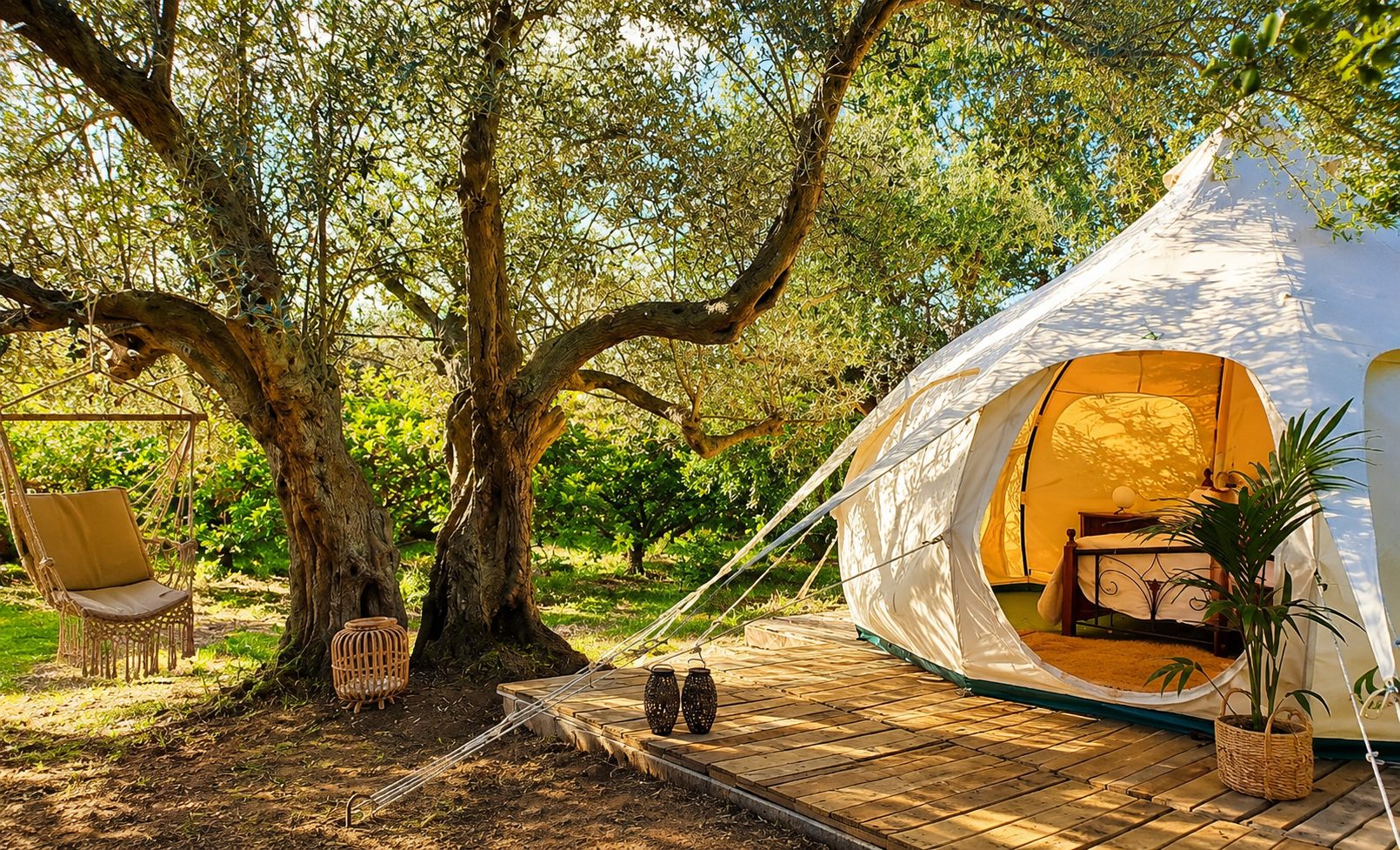 The Sicily Olive Co. — grove, harvest and Sicily experience photo 33